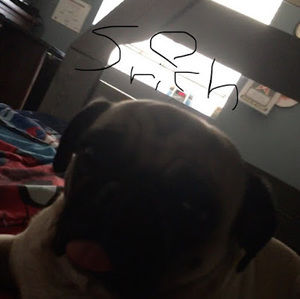 Meet your Posher, Rony